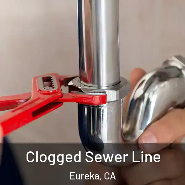  Clogged Sewer Line Eureka, CA