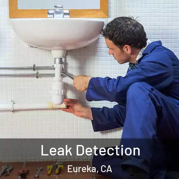  Leak Detection Eureka, CA