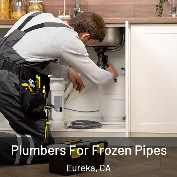 Plumbers For Frozen Pipes Eureka, CA