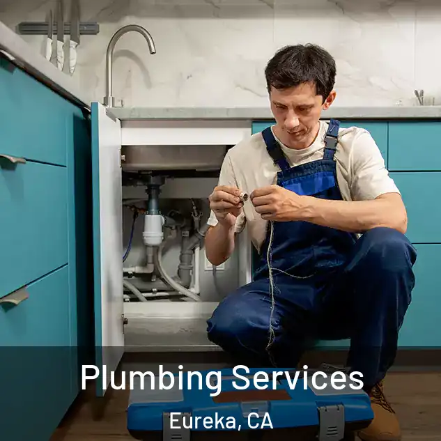Plumbing Services Eureka, CA