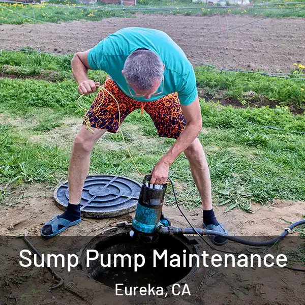  Sump Pump Maintenance Eureka, CA