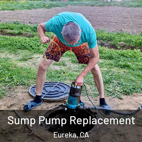  Sump Pump Replacement Eureka, CA