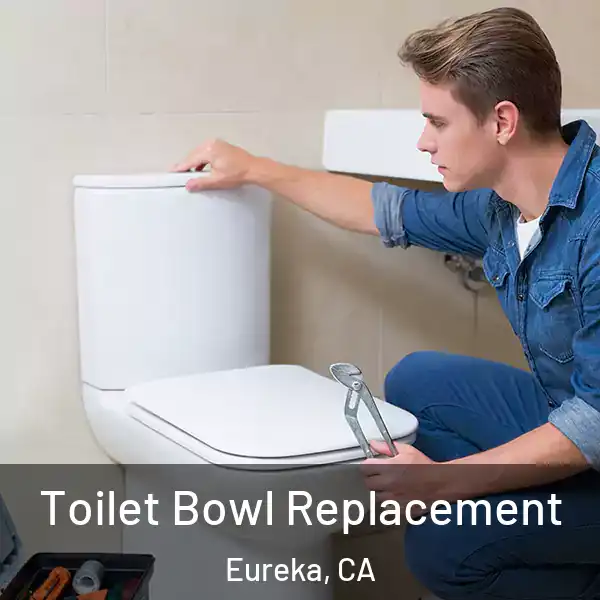  Toilet Bowl Replacement Eureka, CA