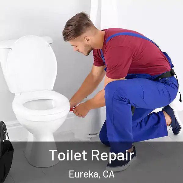  Toilet Repair Eureka, CA