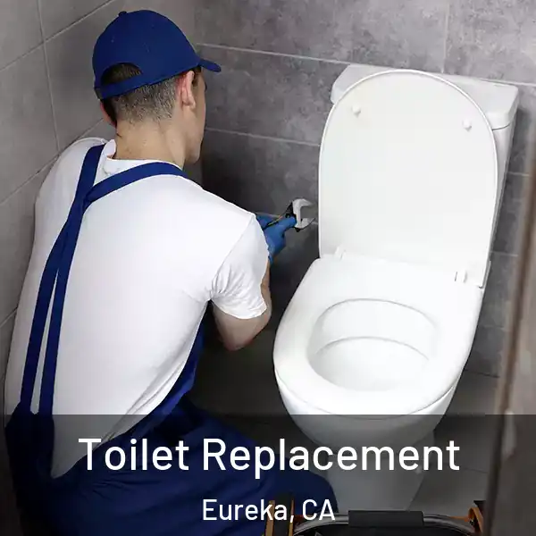  Toilet Replacement Eureka, CA