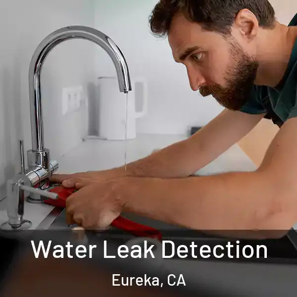  Water Leak Detection Eureka, CA